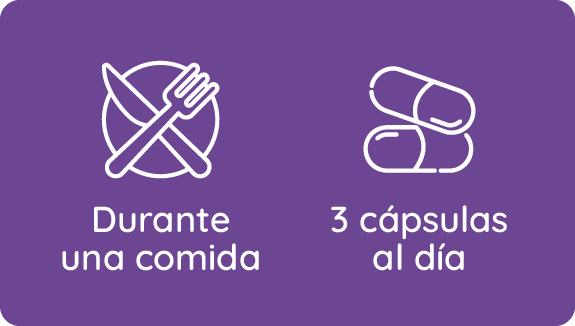 Posologia 1 Comida