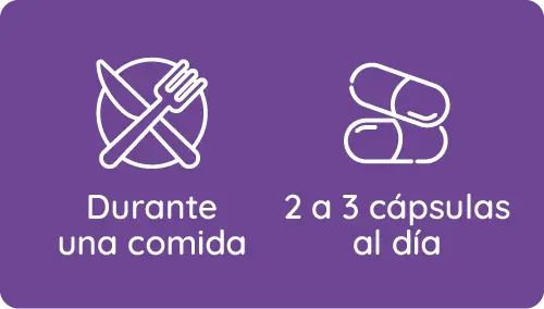 Posologia 2 A 3 Comida@500x